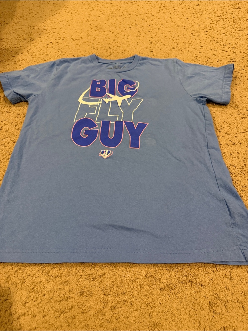Light Blue 'Big Fly Guy' Graphic Kids Tee